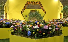 Fotografia zo zájazdu Kvetinová výstava v Tullne.